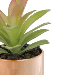 Northlight 5" Green Artificial Aloe Plant In A Rose Gold Pot 7 Northlight 5" Green Artificial Aloe Plant In A Rose Gold Pot -Home decor GUEST ff91a300 a789 4e25 9d28 4e492de246f5